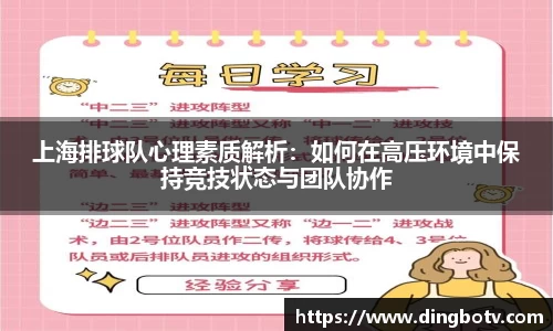 上海排球队心理素质解析:如何在高压环境中保持竞技状态与团队协作
